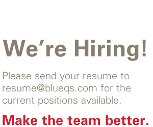 Blue Quality Services