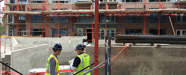 Blue Quality Services